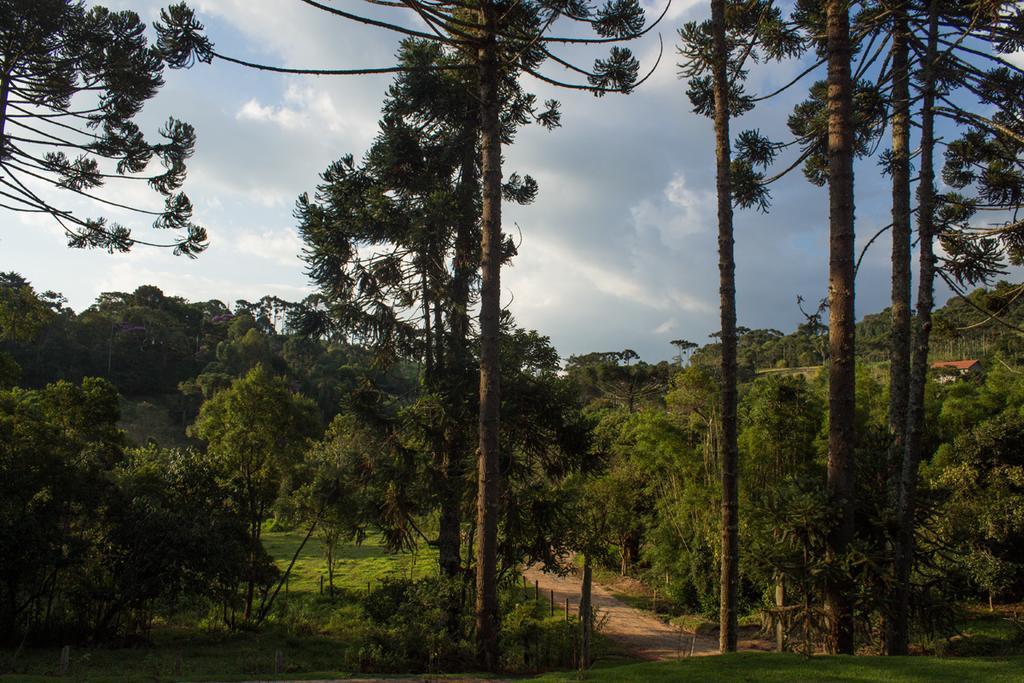Pousada E Restaurante Recanto Do Pico ซานโต อังตัวนิโอ โด ปิงญัล ภายนอก รูปภาพ